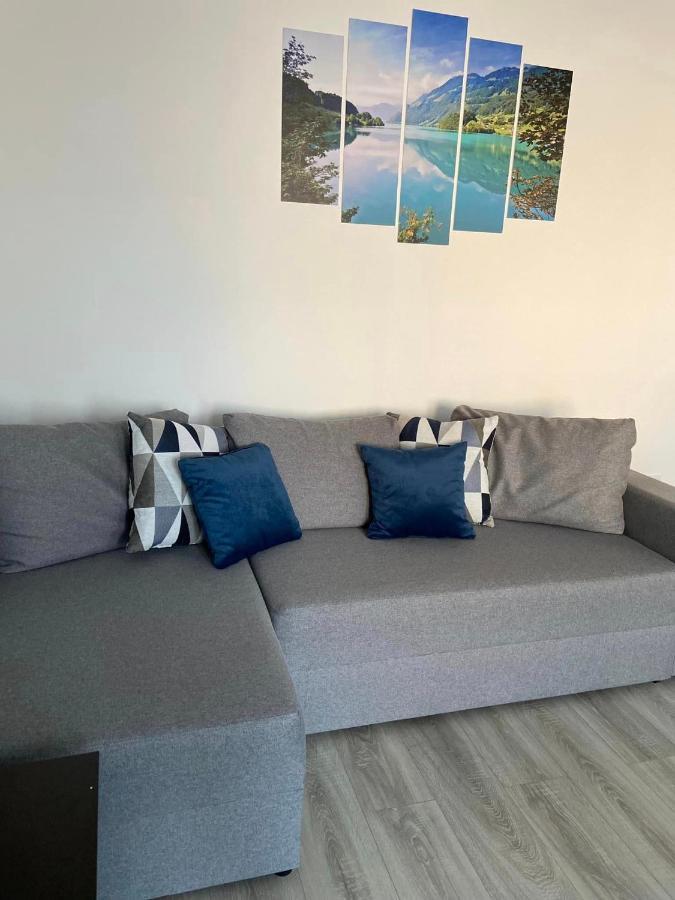 Apartament Brifla Comfort Mures Târgu-Mureş Buitenkant foto