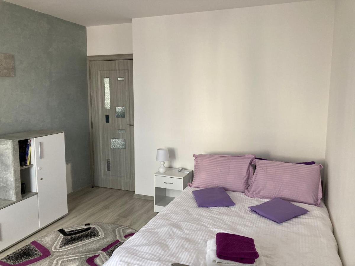 Apartament Brifla Comfort Mures Târgu-Mureş Buitenkant foto
