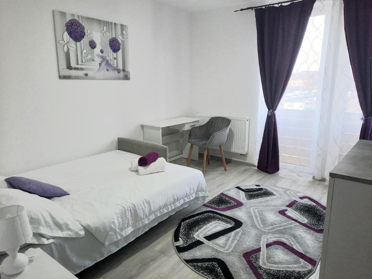 Apartament Brifla Comfort Mures Târgu-Mureş Buitenkant foto